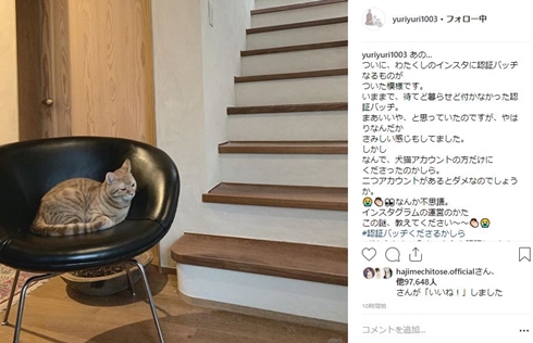 石田ゆり子 犬猫アカウント タビ ハニオ Instagram