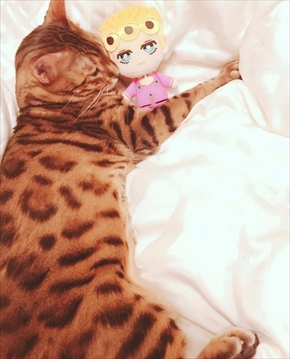 叶姉妹 ジョジョの奇妙な冒険 ファビュラスくん 猫ベンガルキャット