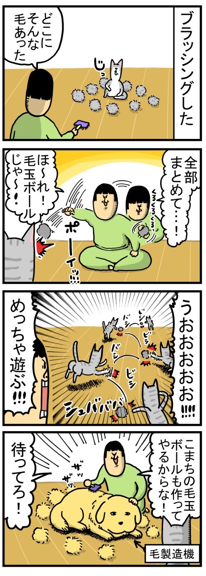 ゴールデンレトリバー 猫 交流