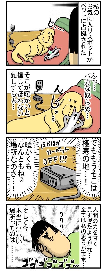 ゴールデンレトリバー 猫 交流