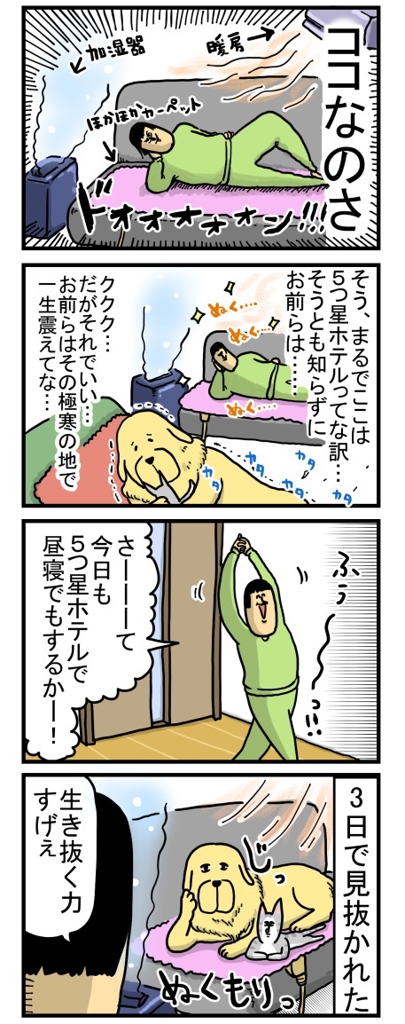 ゴールデンレトリバー 猫 交流