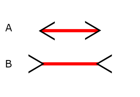 ゆにばーすはら 詐欺メイク 世界一受けたい授業 奇跡の一枚 ロンハー