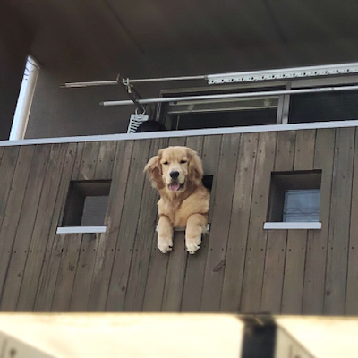 外から見た穴のぞき