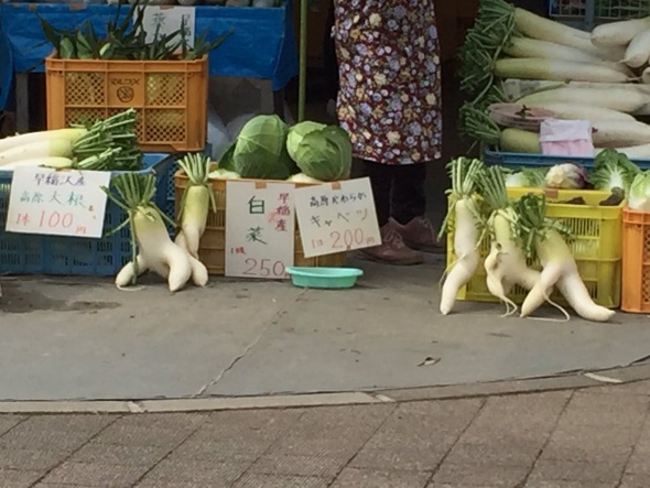 大根 道の駅 逃げる 2本足
