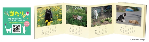 季節のねこクリアファイル