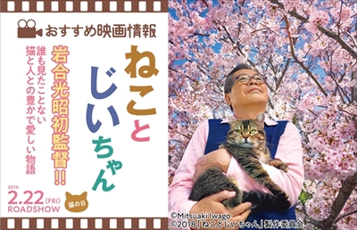 季節のねこクリアファイル