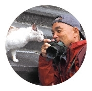 季節のねこクリアファイル