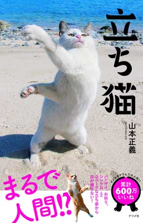 立ち猫 山本正義 写真集 猫 Instagram