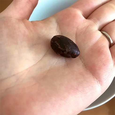 豆を手のひらに載せたところ