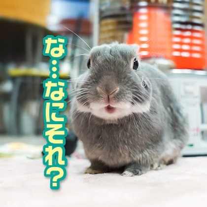 うさぎのふうた