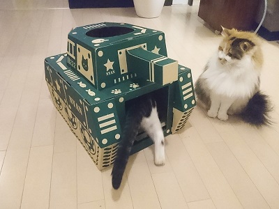 にゃんころ家AR