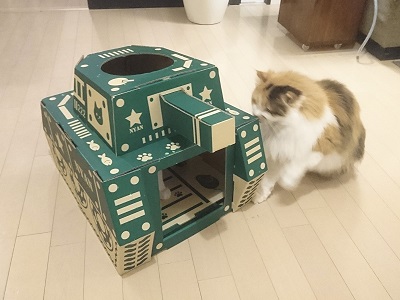 にゃんころ家AR