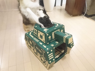 にゃんころ家AR