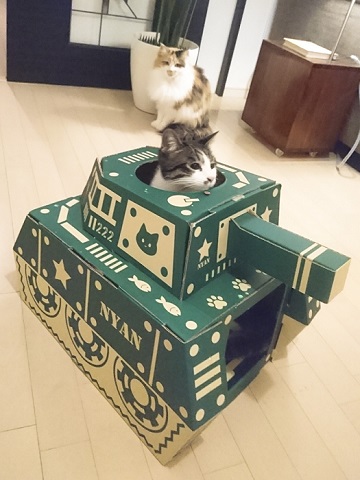 にゃんころ家AR