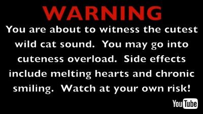 カラカルの鳴き声