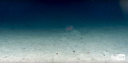 遠くから見た場面