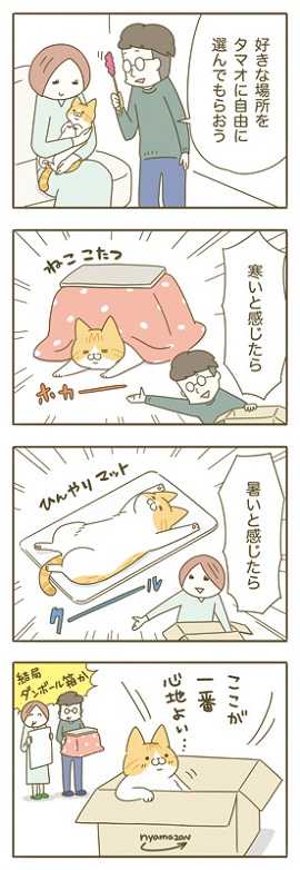 20歳まで猫が元気に長生きできる住まい