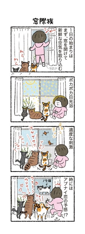 20歳まで猫が元気に長生きできる住まい