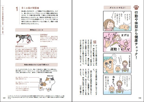 20歳まで猫が元気に長生きできる住まい