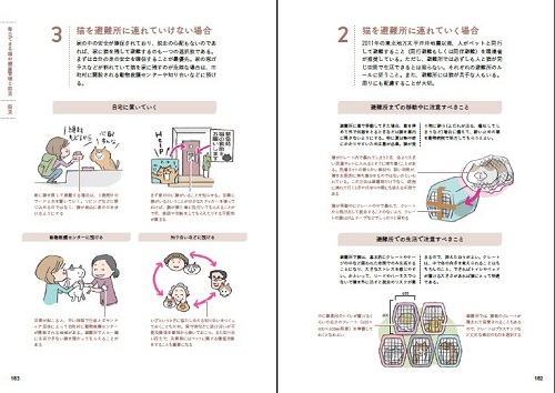 20歳まで猫が元気に長生きできる住まい