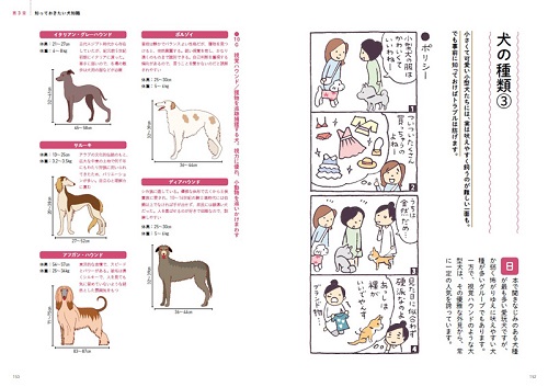 20歳まで猫が元気に長生きできる住まい