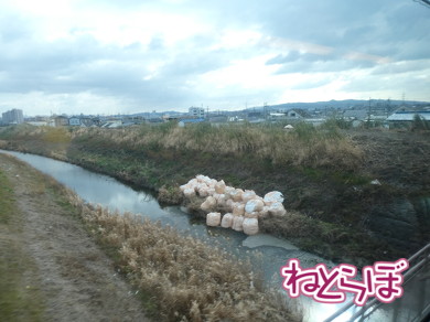 京阪電鉄 プレミアムカー