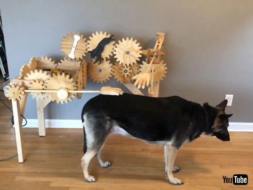 オートマチックドッグペッター