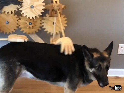 オートマチックドッグペッター