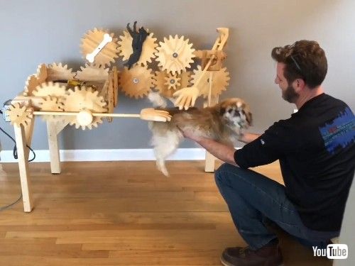 オートマチックドッグペッター