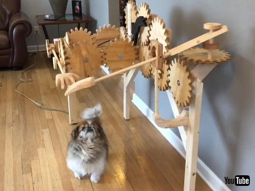 オートマチックドッグペッター