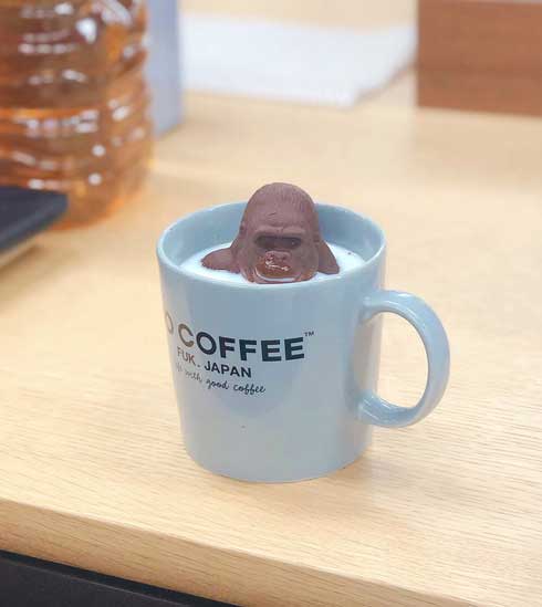 ホットゴリラ チョコ ホットミルク 牛乳 ズーロジー マウンテンゴリラ