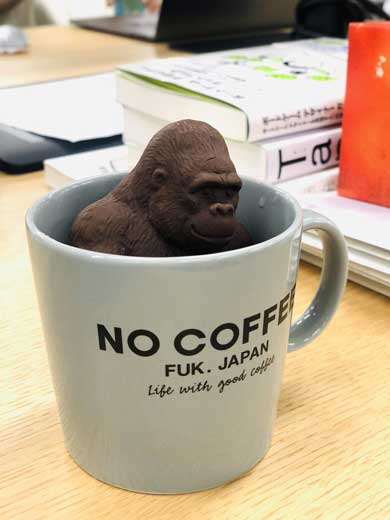 ホットゴリラ チョコ ホットミルク 牛乳 ズーロジー マウンテンゴリラ