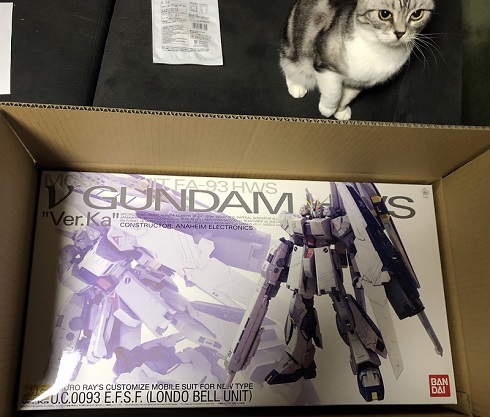 ガンプラの箱が好きなネコ