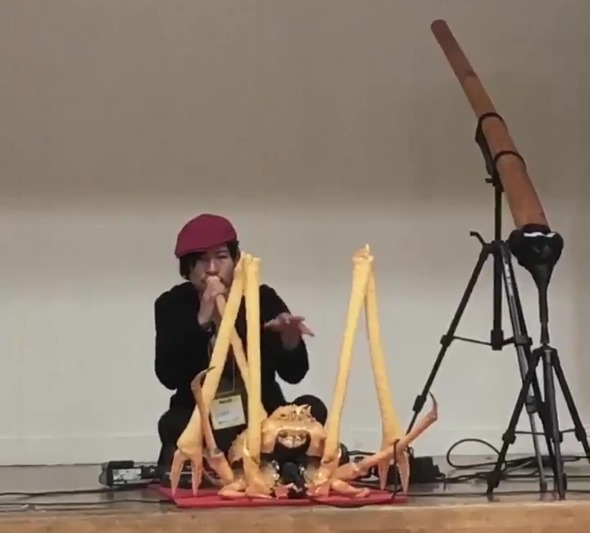 タカアシガニ ディジュリドゥ