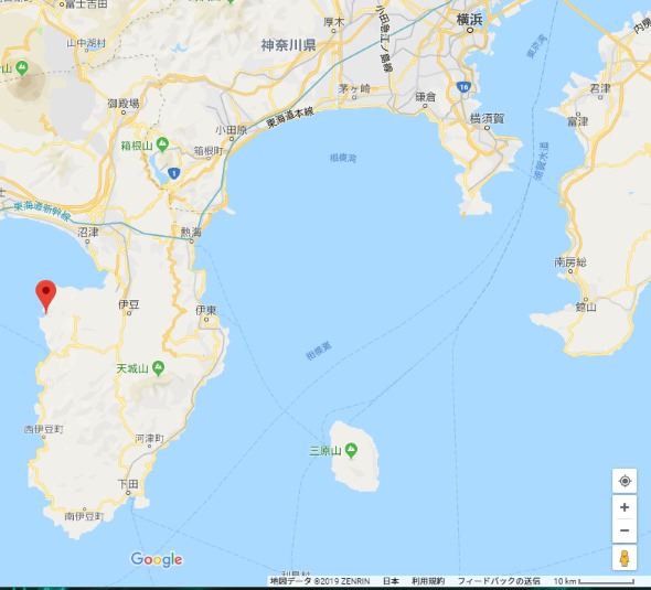 タカアシガニ ディジュリドゥ