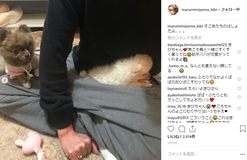 武田航平 きび ころ ポメラニアン 愛犬 誕生日