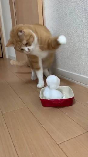 ネコvs雪だるま さんて