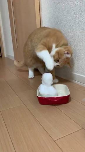 ネコvs雪だるま さんて