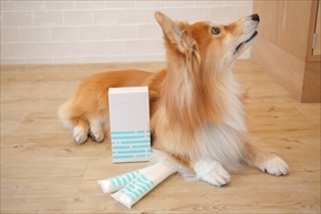 docdogボディタオル