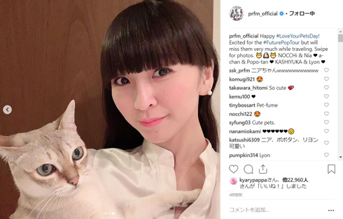 Perfume 猫 犬 飼い主 似てる FuturePop
