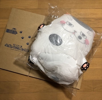 ヤフオク・猫の日