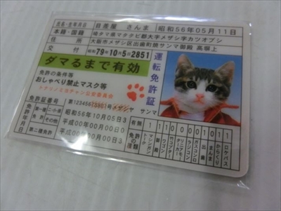 ヤフオク・猫の日