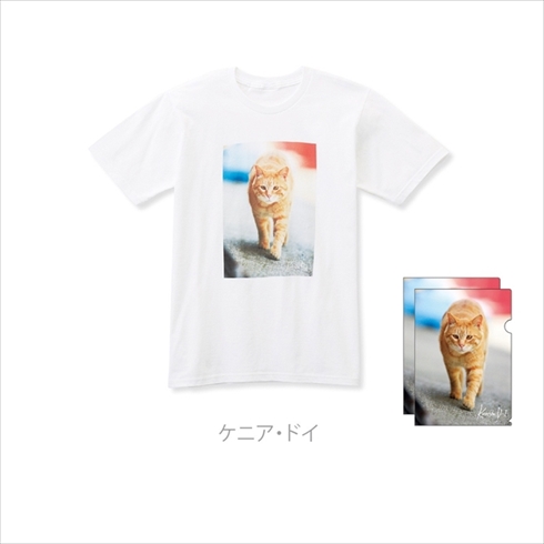 フェリシモ　地域猫応援グッズ