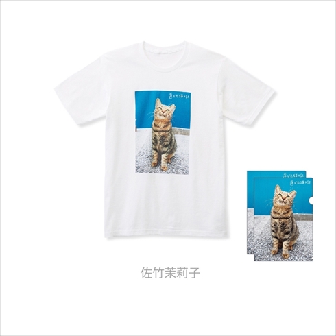 フェリシモ　地域猫応援グッズ