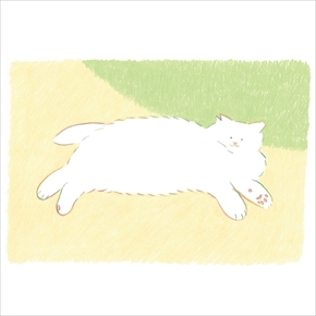 フェリシモ　地域猫応援グッズ