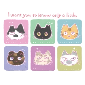 フェリシモ　地域猫応援グッズ