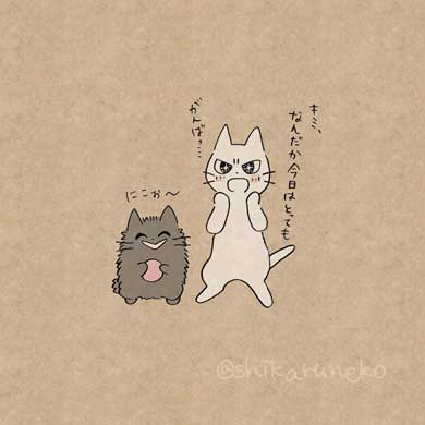 しかるねこ あまやかすねこ 続編 書籍 Twitter 漫画 叱る 褒める 励ます 猫