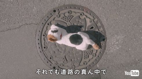 全国交通にゃん全運動 イエローハット