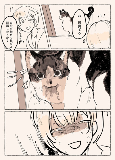 鏡越しにゃんこ