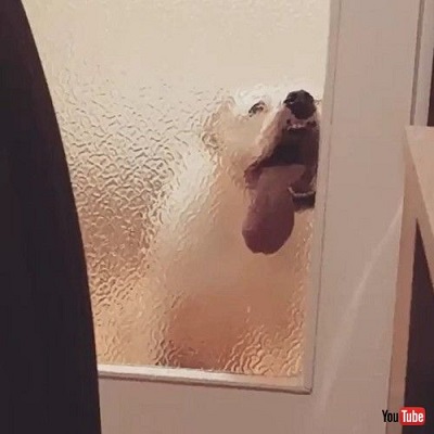 playing with the tail